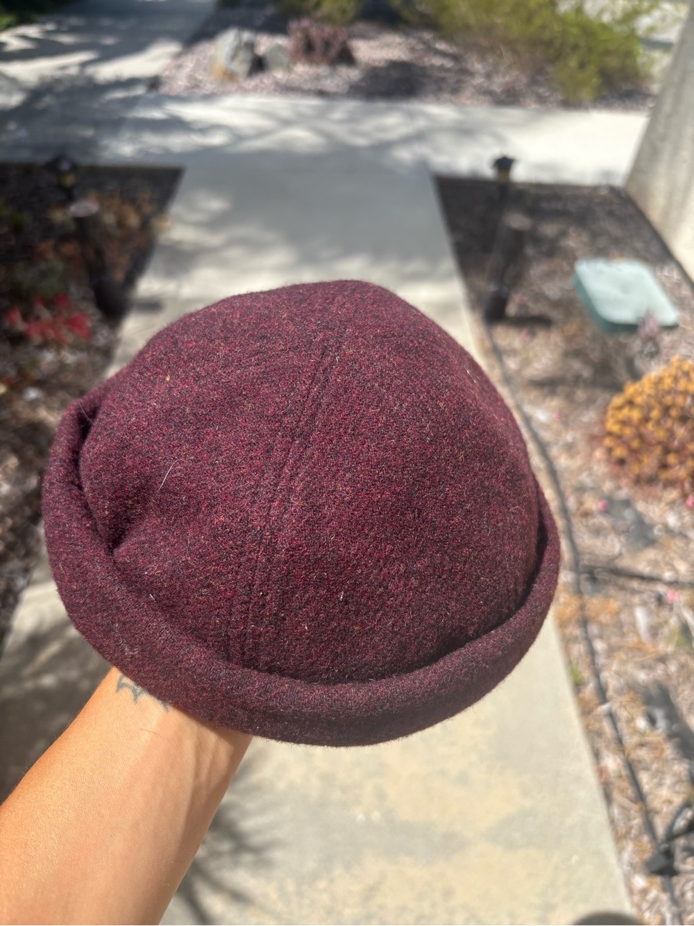 Beanie - Picture 2 of 6